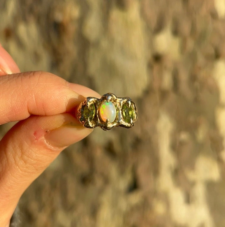 Forest Fairy Ring