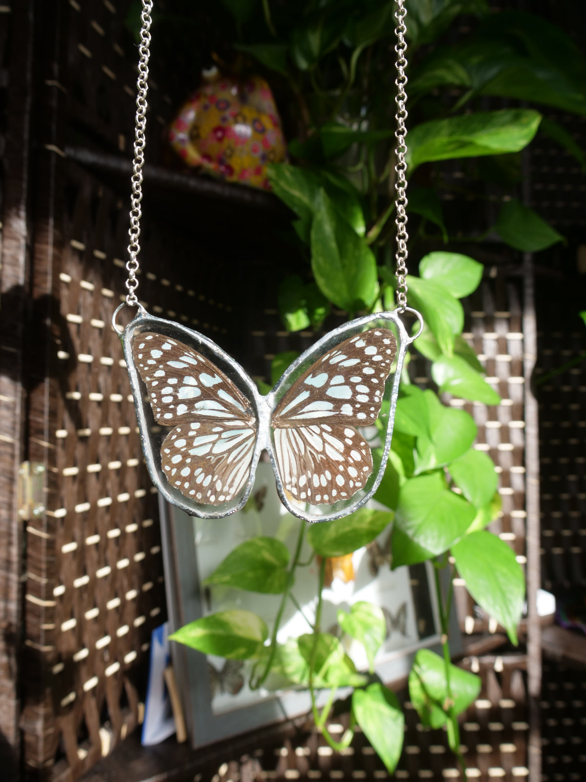 Isa Butterfly Necklace