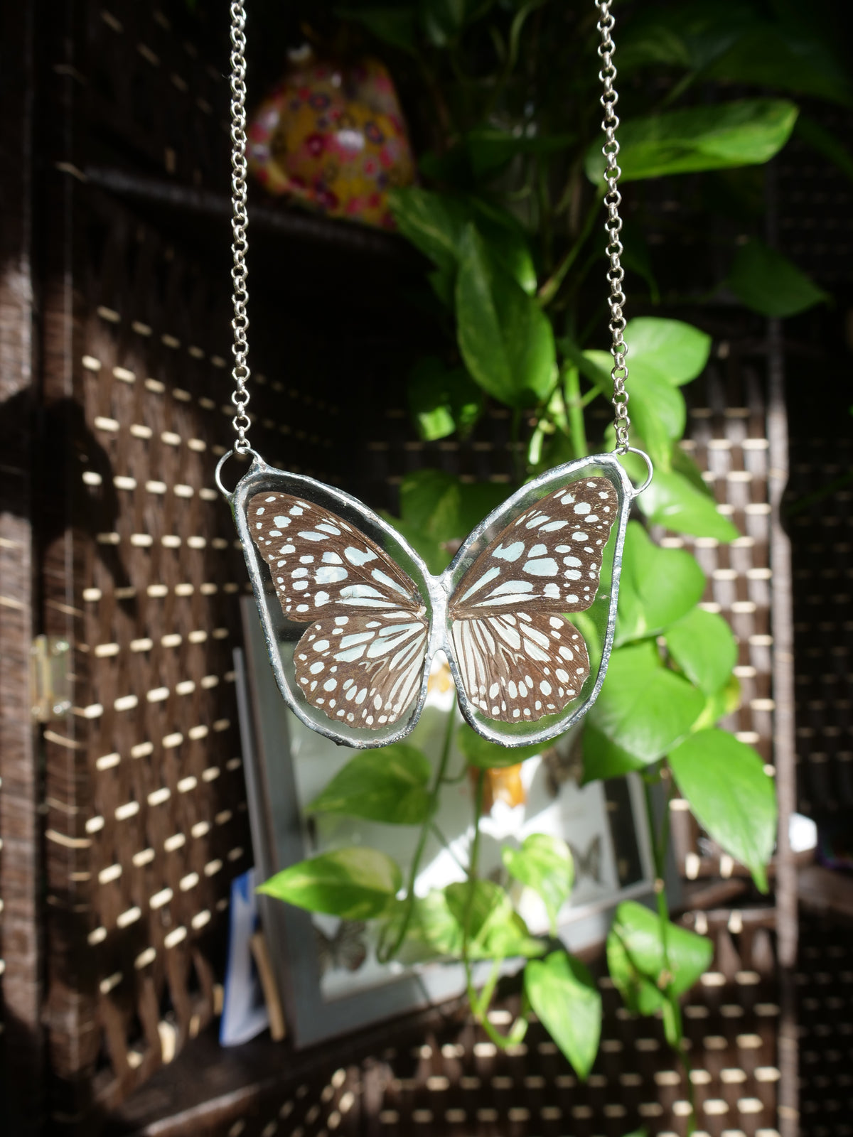 Isa Butterfly Necklace